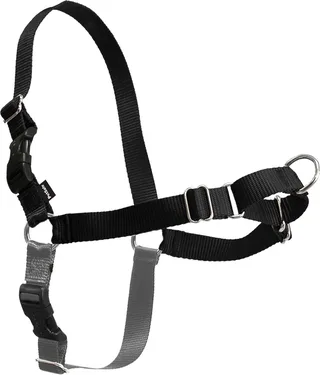 Easy Walk® - Hondentuig - Extra Large/86-117 cm by PetSafe in Black – product photo 1 of 4