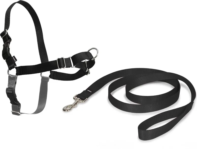 Easy Walk® - Hondentuig - Small/38-51 cm von PetSafe in Schwarz – Produktfoto