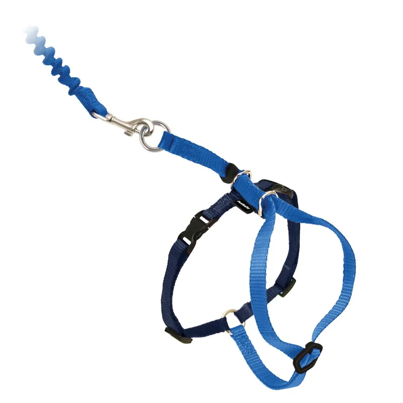 Easy Walk Katzengeschirr M von PetSafe in Blau, Regular – Produktfoto