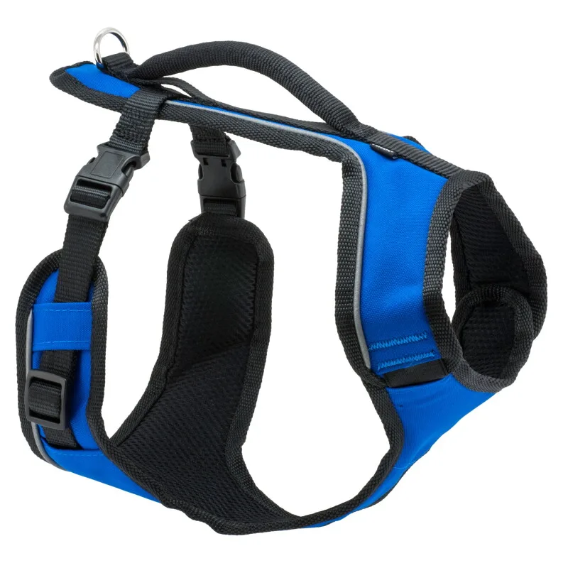 EasySport Hundegeschirr L by PetSafe in Blue, Regular – product photo