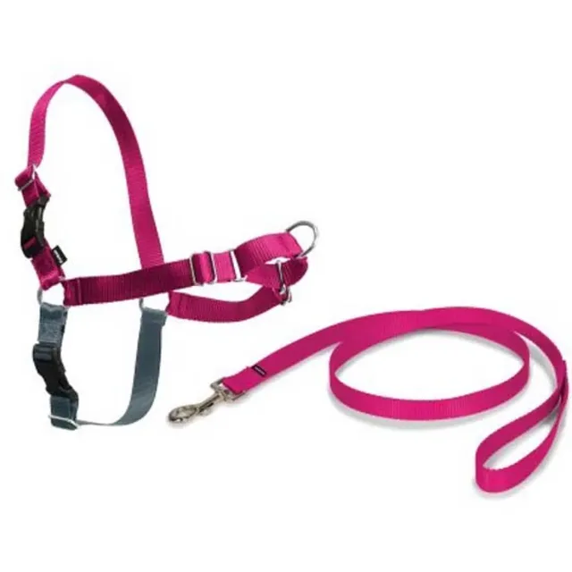 Harnais Pour Chien Easy Walk