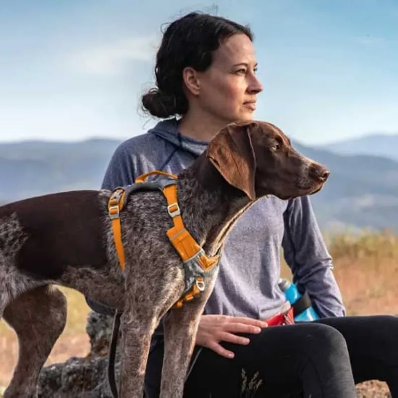 Harnais Pour Chien Journey Air by PetSafe – product photo 3 of 3