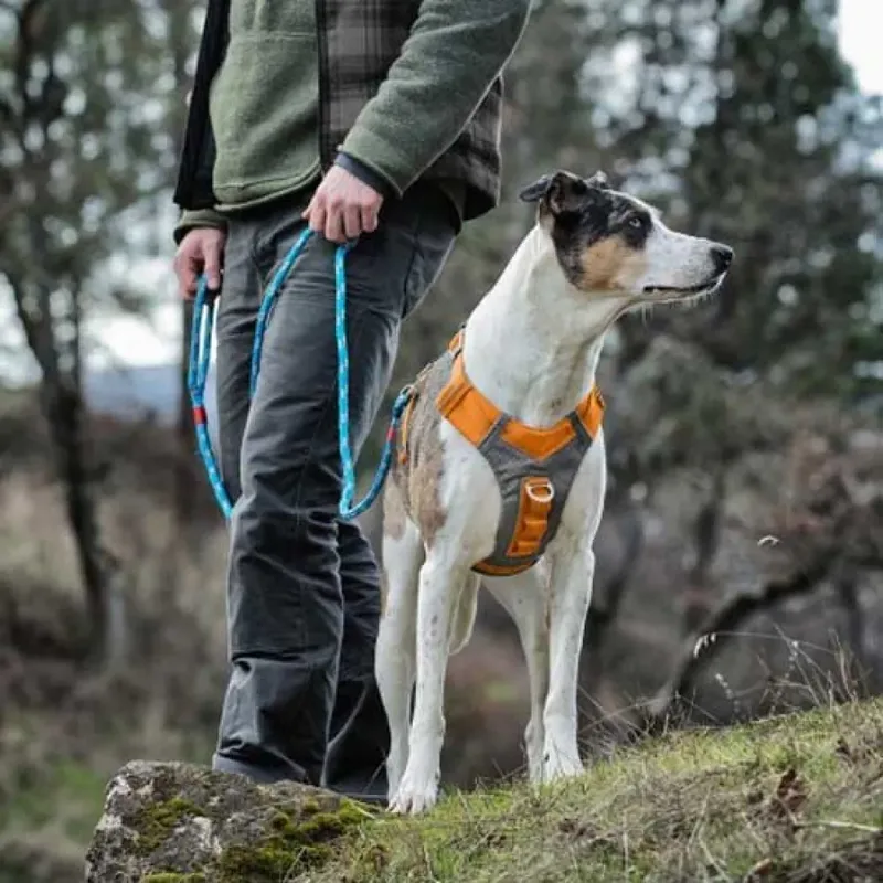 Harnais Pour Chien Journey Air by PetSafe – product photo 2 of 3