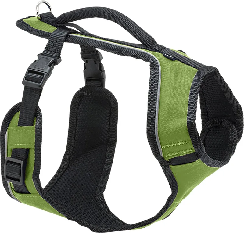 harnas voor honden - S omtrek 46 cm - 56 cm groen fluoriserend - aanpasbaar von PetSafe in Appelgroen – Produktfoto