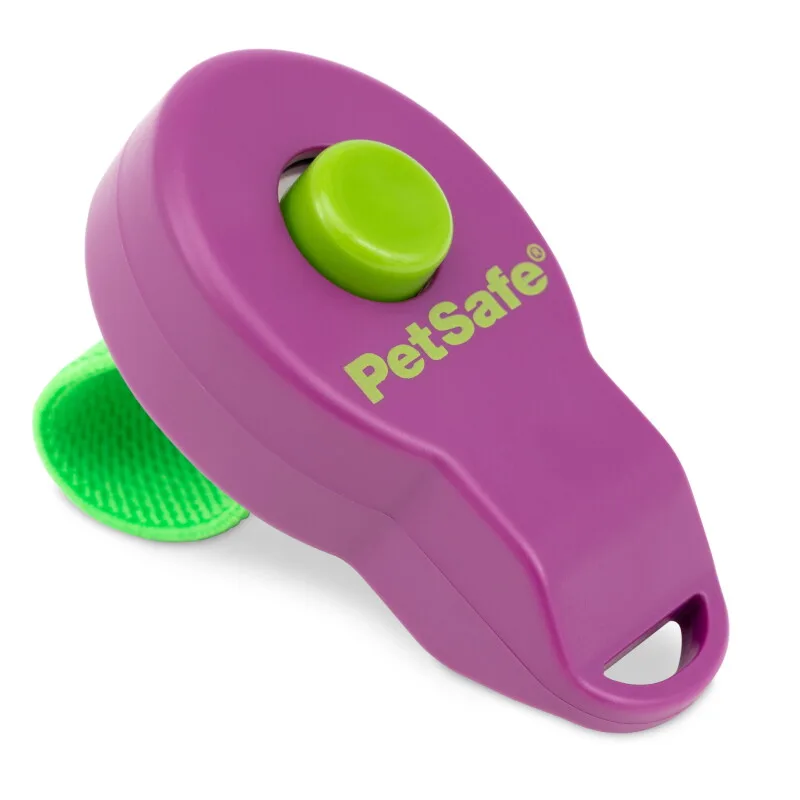 Klicker zur Hundeerziehung Clik-R von PetSafe in Regular – Produktfoto