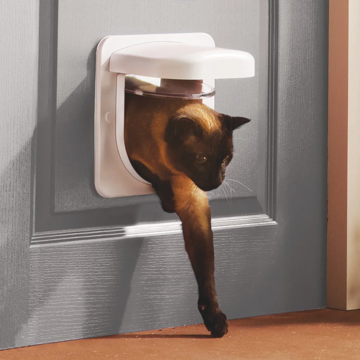 Petporte Smart Flap - Kattenluik - Wit - 15,9 x 24,1 x 23,8 cm de PetSafe en Multicolore – photo produit