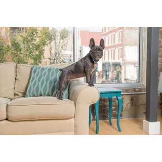 Rechargeable Soft Anti-bark Hondenhalsband by PetSafe – product photo 2 of 2