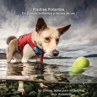 Skipping Stones Hondenspeeltje 3 Stukken van PetSafe – productfoto 5 van 5