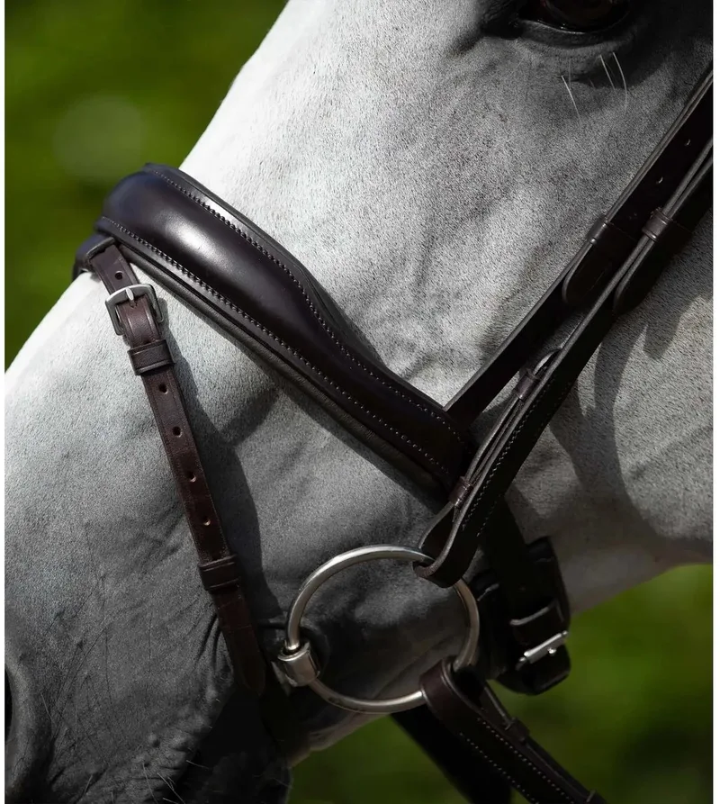 Anatomisch hoofdstel met Engels gecombineerd rijhalster Premier Equine Rizzo van Premier Equine in Donkerbruin – productfoto