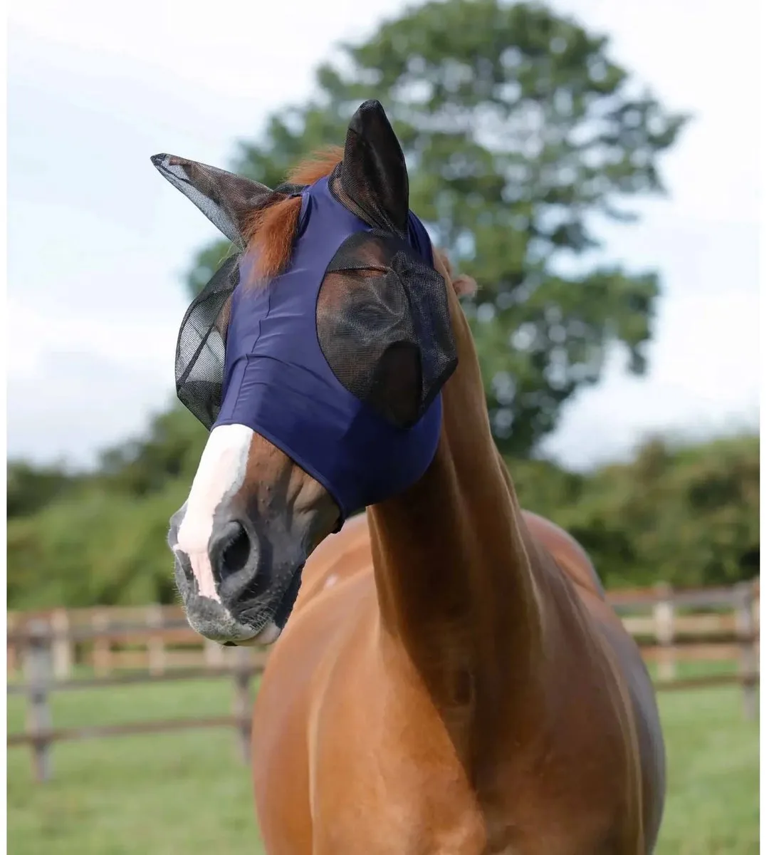Anti-Vliegenmasker voor paarden Premier Equine Comfort Tech Lycra från Premier Equine – produktbild