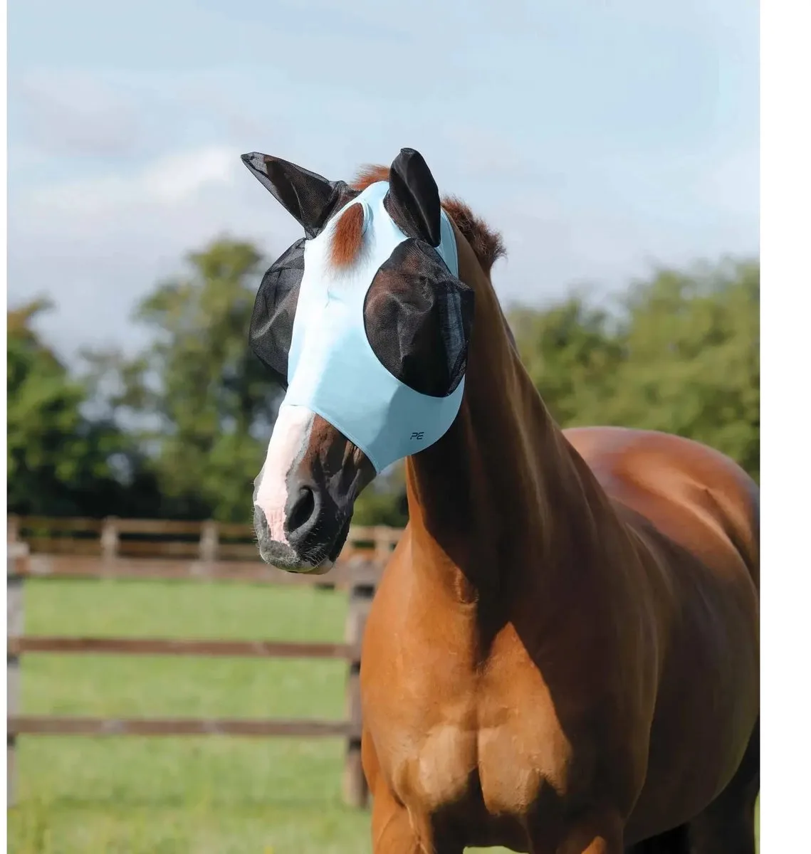 Anti-Vliegenmasker voor paarden Premier Equine Comfort Tech Lycra från Premier Equine – produktbild