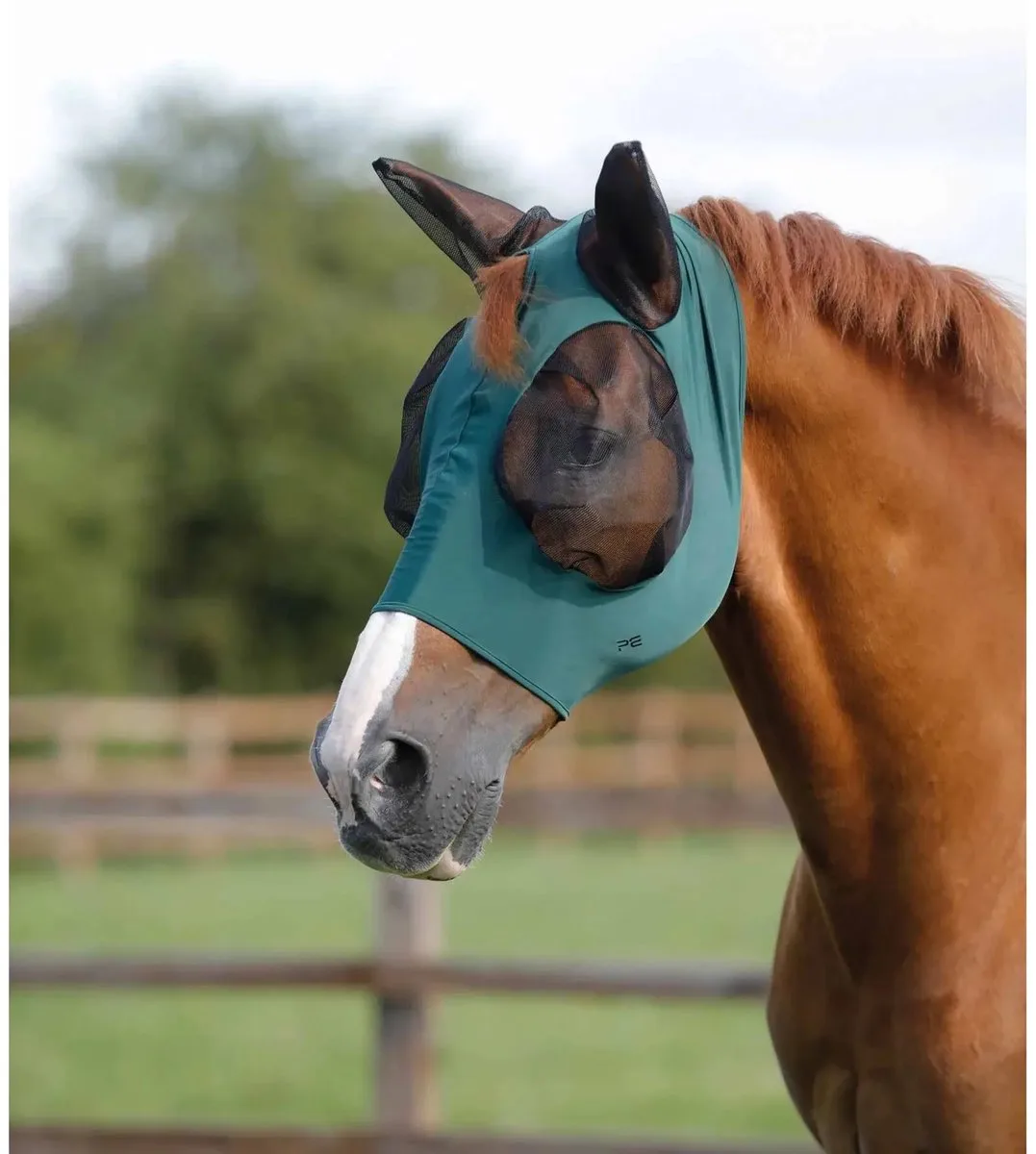 Anti-Vliegenmasker voor paarden Premier Equine Comfort Tech Lycra från Premier Equine – produktbild