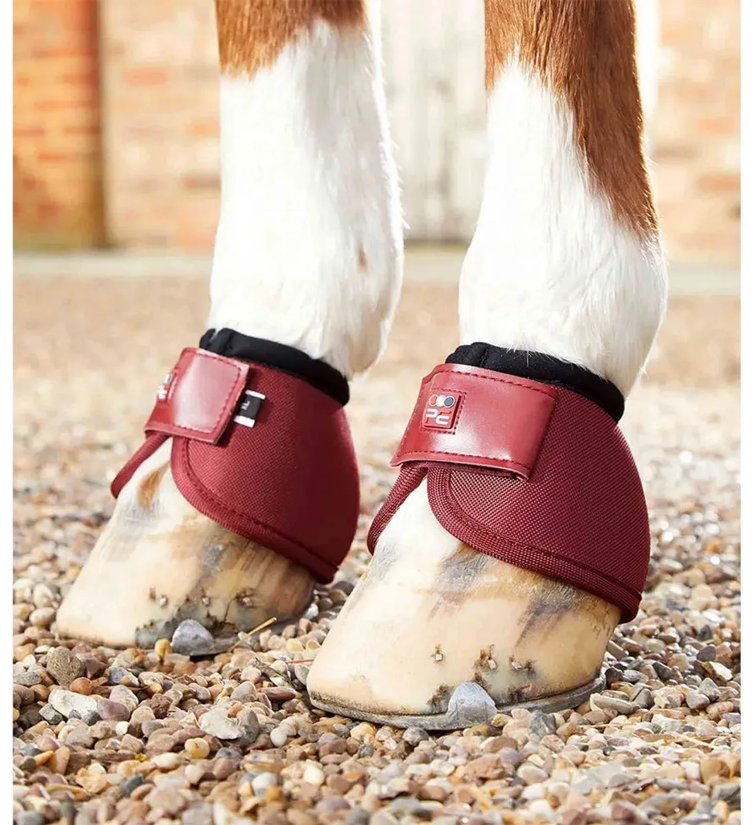 Antikantel paardenbellen Premier Equine Ballistic von Premier Equine in Bordeauxrood – Produktfoto