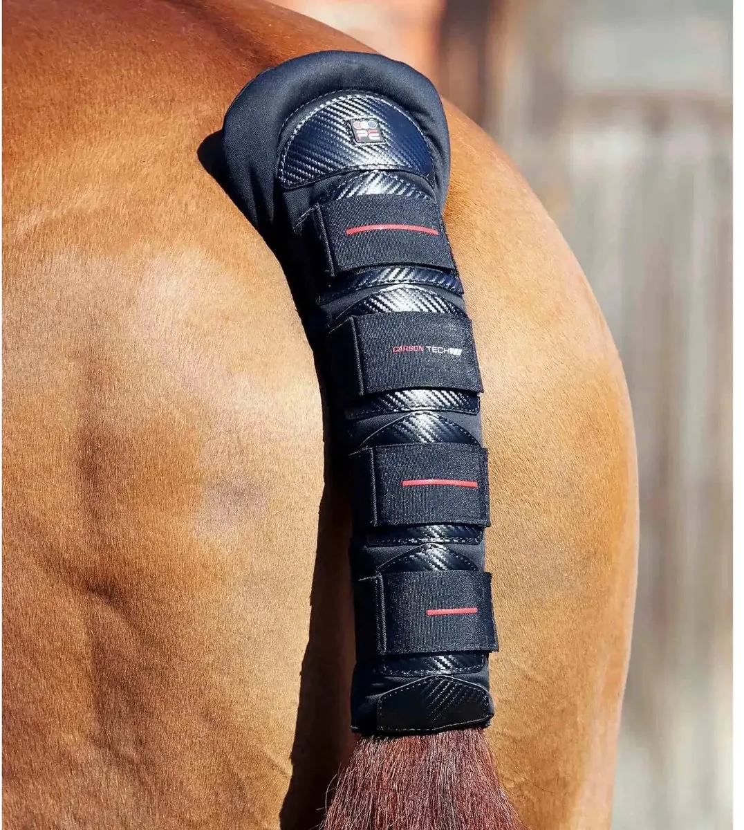 Antislip paardenstaartbeschermer Premier Equine Carbon Tech von Premier Equine in Schwarz – Produktfoto