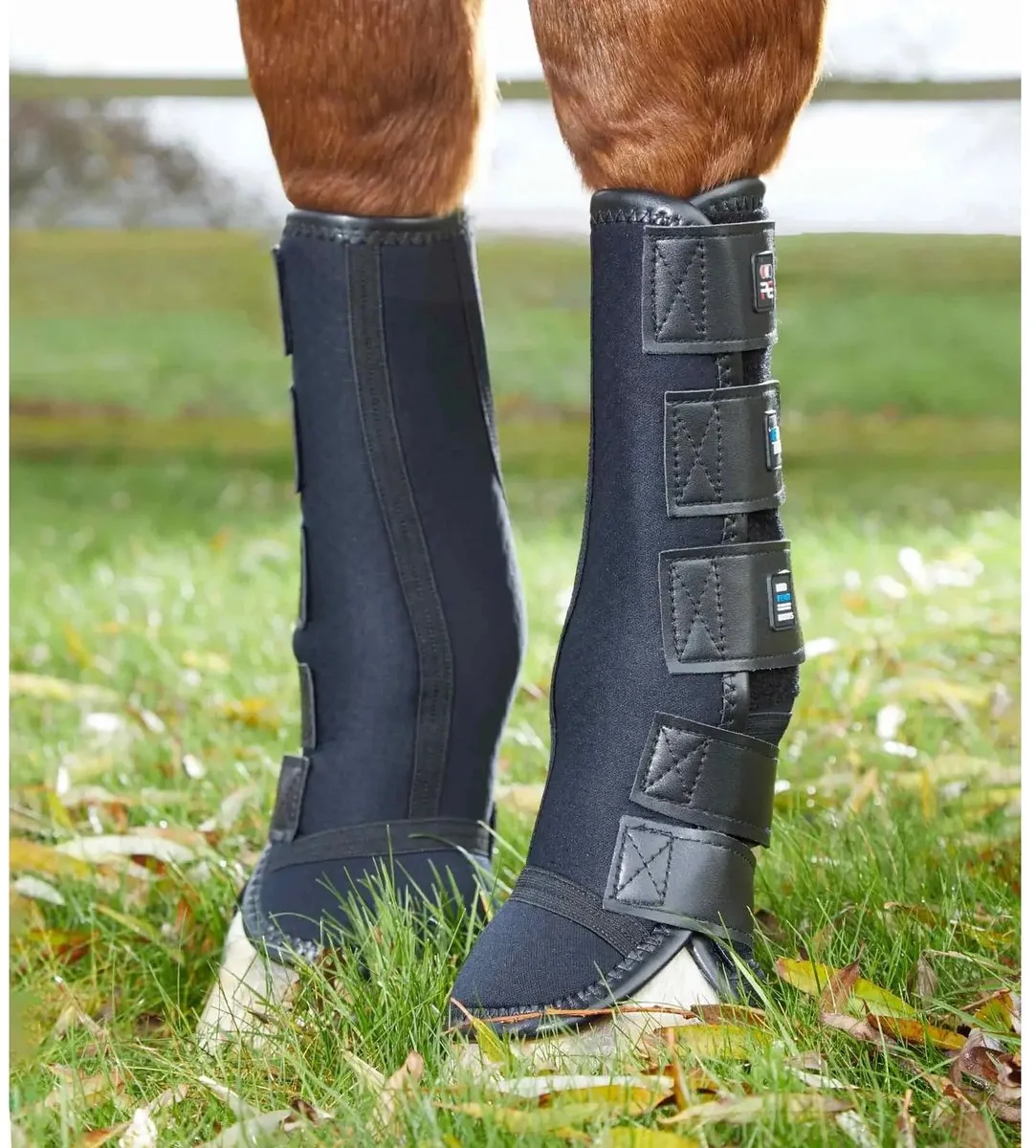 Beenbeschermers tegen moddergale Premier Equine de Premier Equine en Noir – photo produit