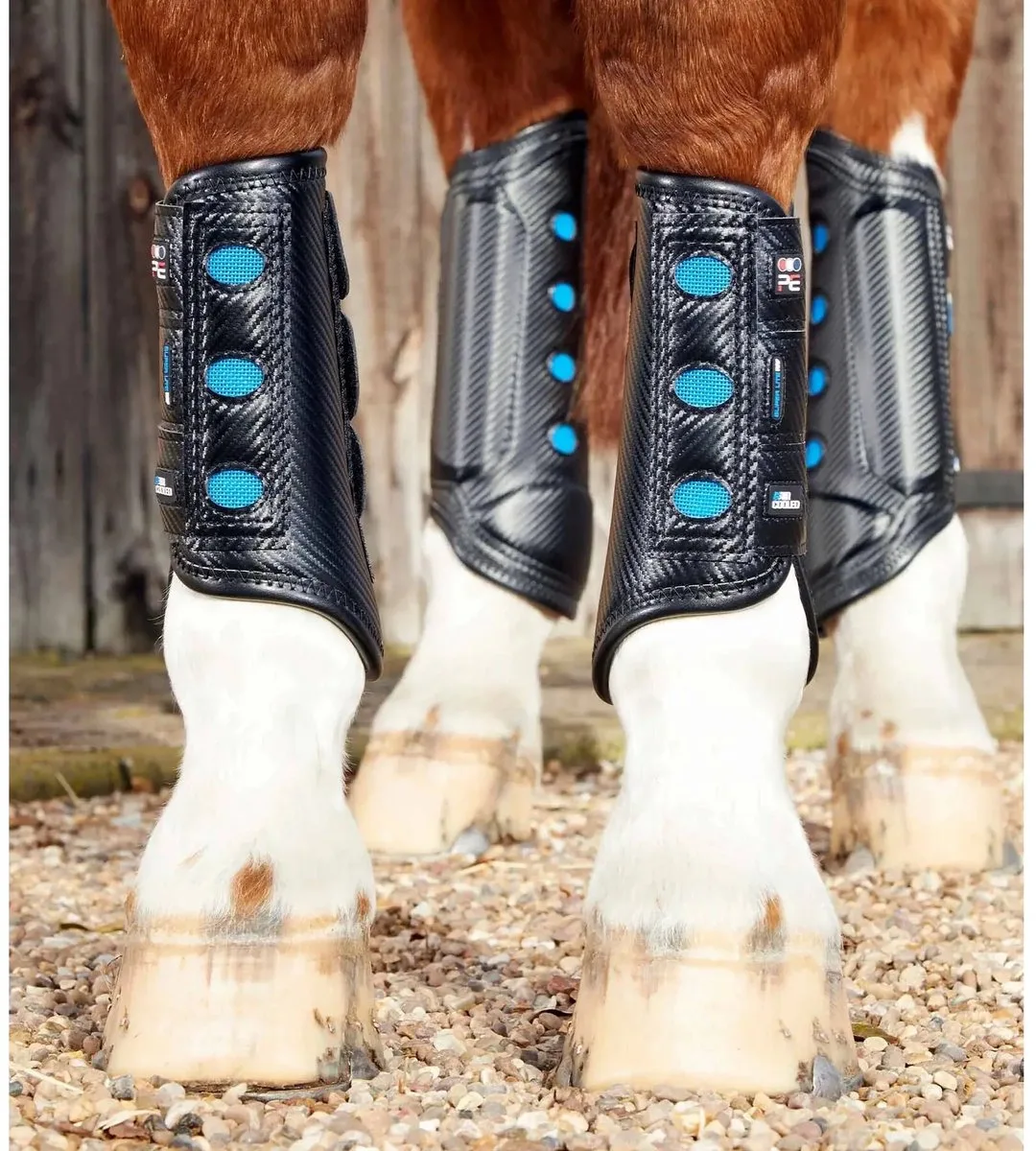 Carbon Aircooled Lite Event Beschermers Front Black - M von Premier Equine in Schwarz – Produktfoto