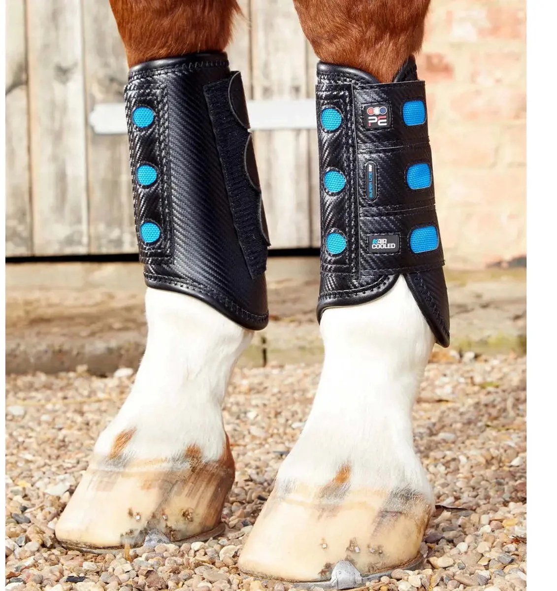 Carbon Aircooled Lite Event Beschermers Hind Black - M von Premier Equine in Schwarz – Produktfoto