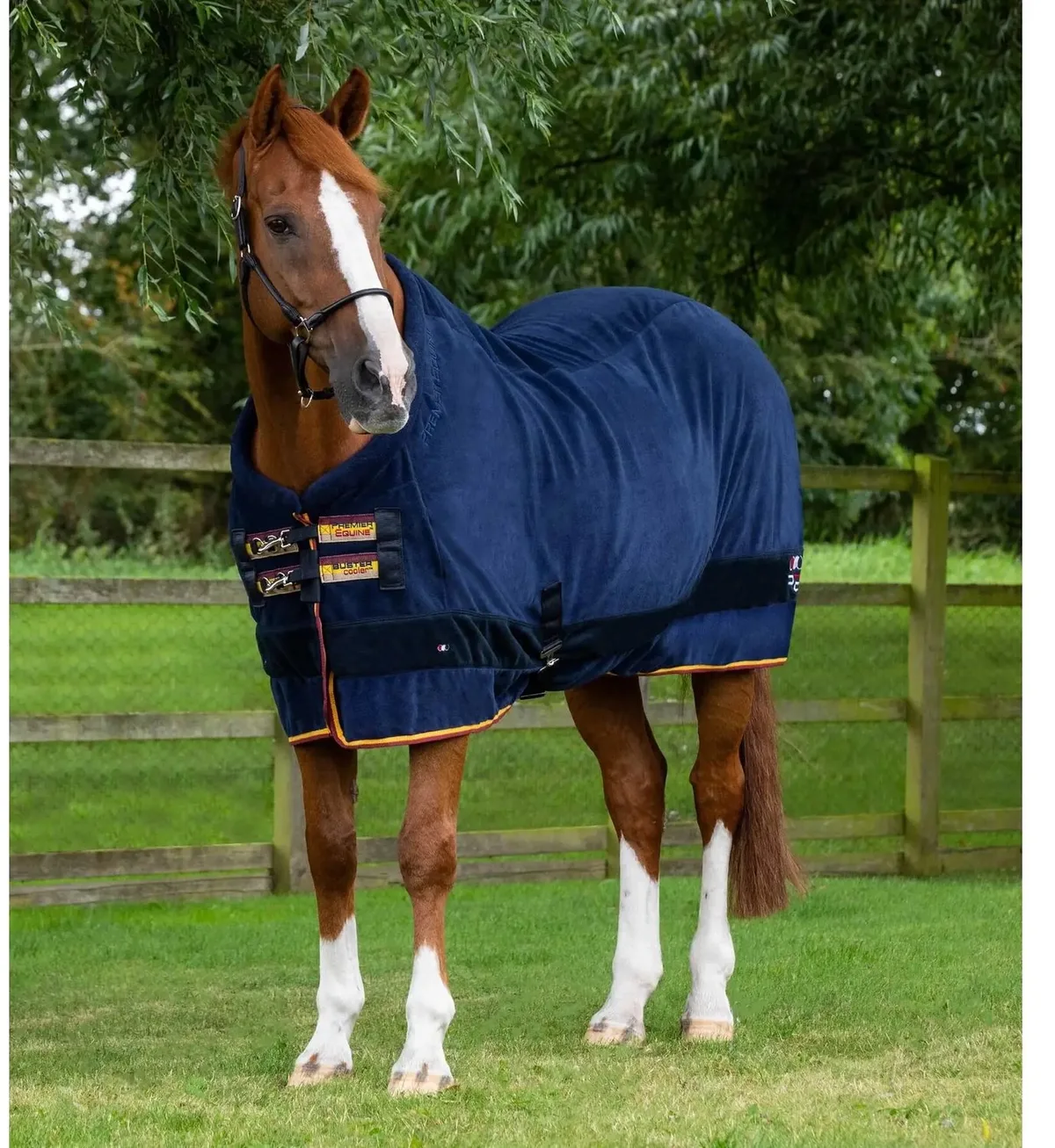 Drogende fleecedeken voor paarden Premier Equine Buster Continental 280g von Premier Equine in Marine – Produktfoto