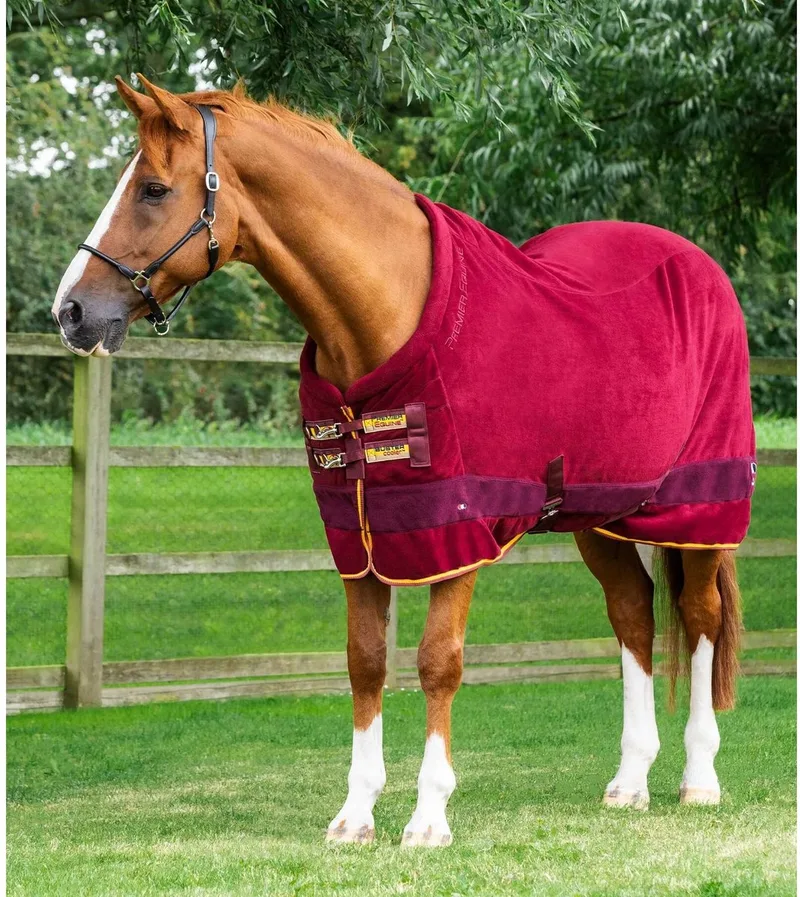 Drogende fleecedeken voor paarden Premier Equine Buster Continental 280g von Premier Equine in Bordeauxrood – Produktfoto
