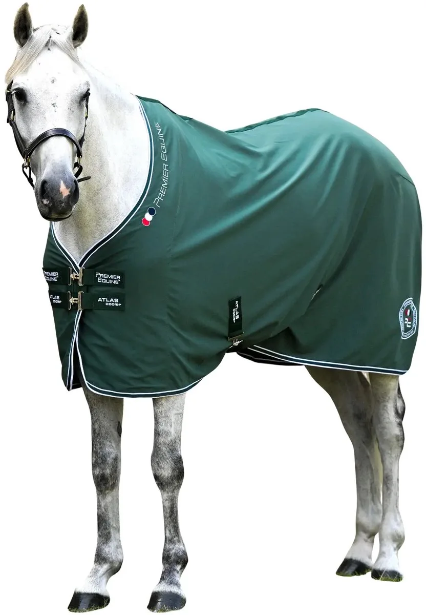 Droogdeken voor paarden Premier Equine Atlas fra Premier Equine i Groene – produktbillede