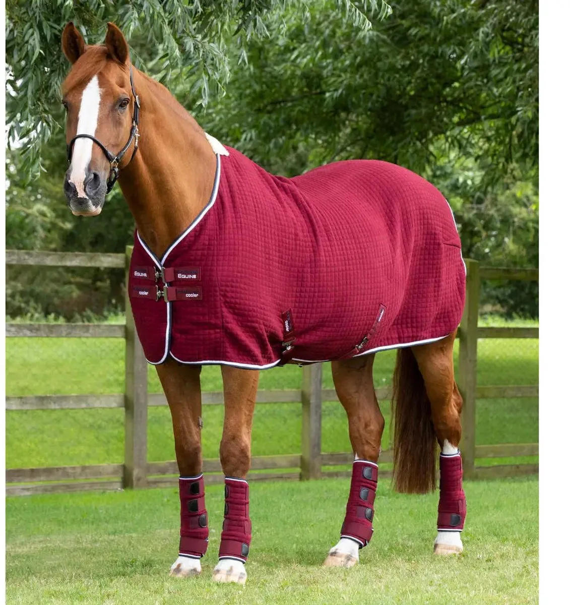 Drooghemd voor paarden Premier Equine Premtex från Premier Equine i Bordeauxrood – produktbild