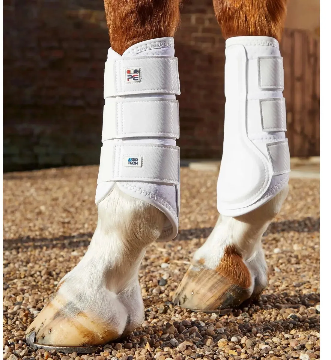 Enkelslot paardenlaarzen Premier Equine Air-Tech von Premier Equine in Weiß – Produktfoto