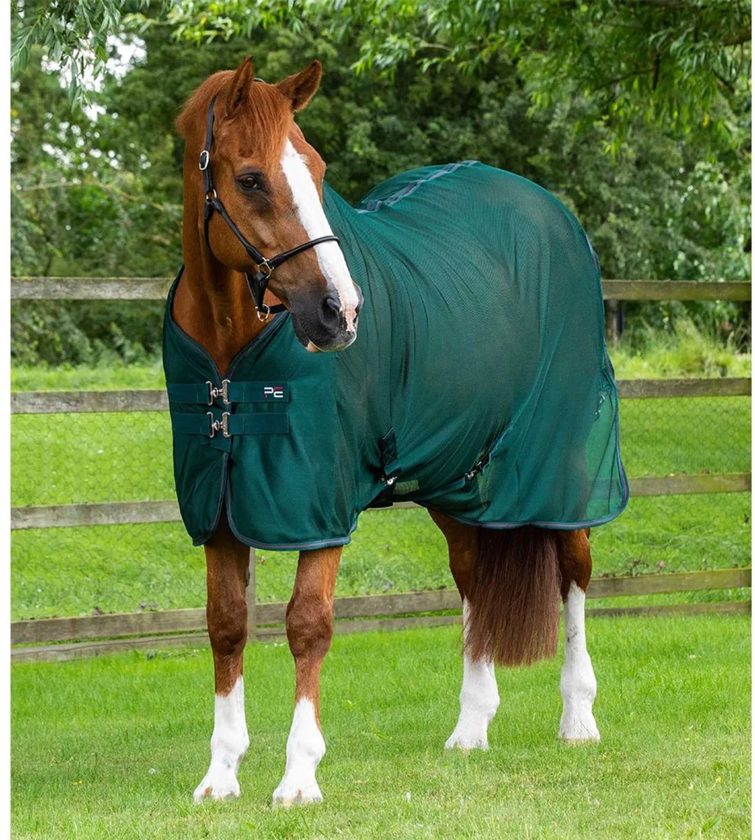 Gaasdroger voor paarden Premier Equine Ventoso de Premier Equine en Groene – photo produit