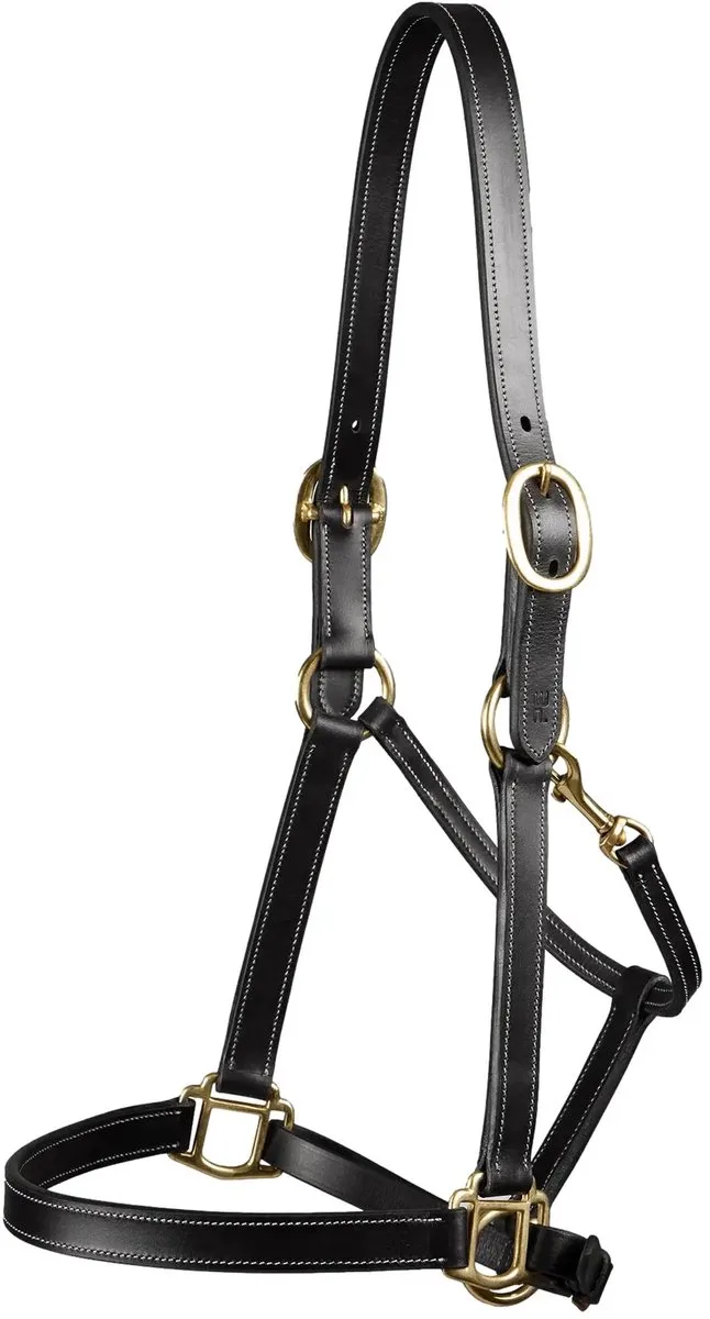 Halster voor paarden Premier Equine von Premier Equine in Schwarz – Produktfoto