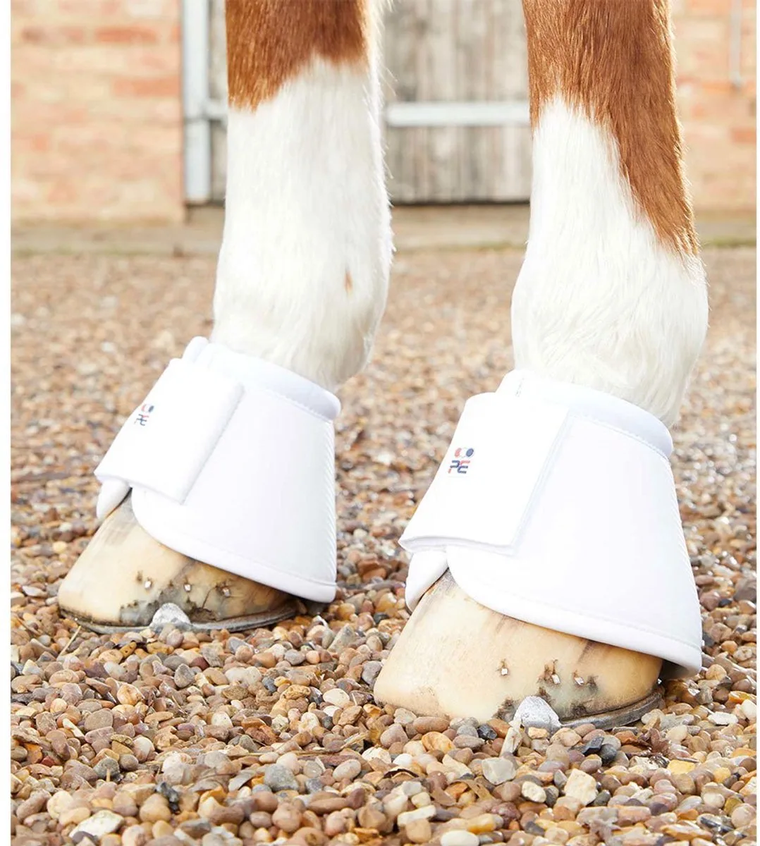 Handschoenovertrek voor paarden Premier Equine Carbon Wrap Over Reach von Premier Equine in Weiß – Produktfoto