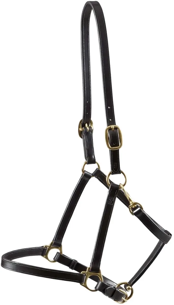 Leren halster voor paarden Premier Equine fra Premier Equine i Brun – produktbillede