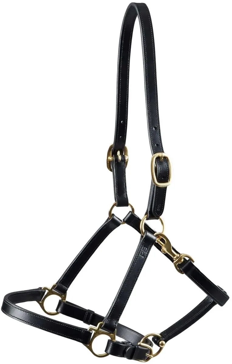 Leren halster voor paarden Premier Equine de Premier Equine en Noir – photo produit