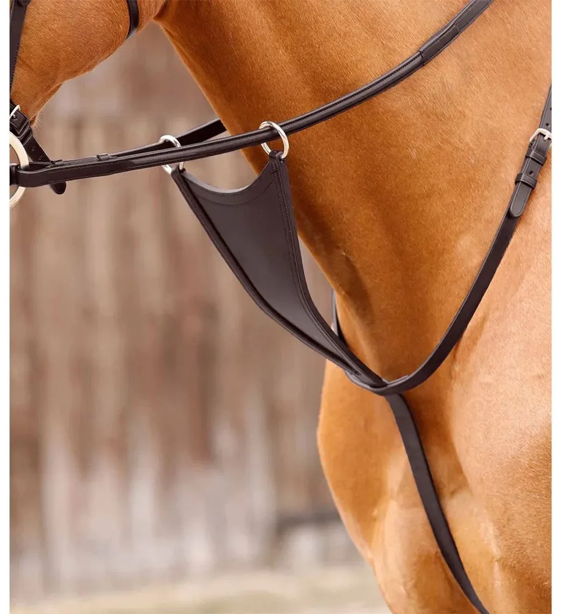 Martingale met bib Premier Equine Rosello fra Premier Equine i Dark Brown – produktbillede