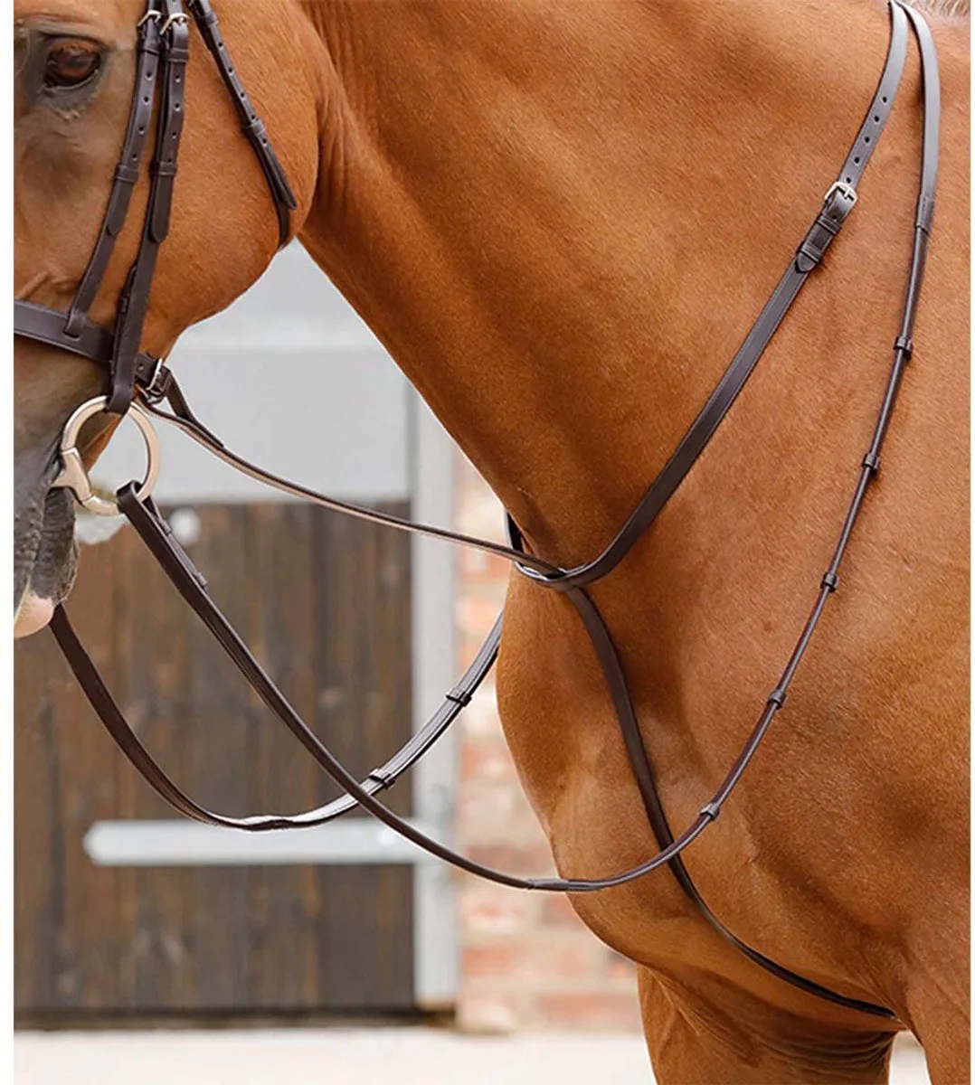 Martingale voor paarden Premier Equine Gressan från Premier Equine i Dark Brown – produktbild