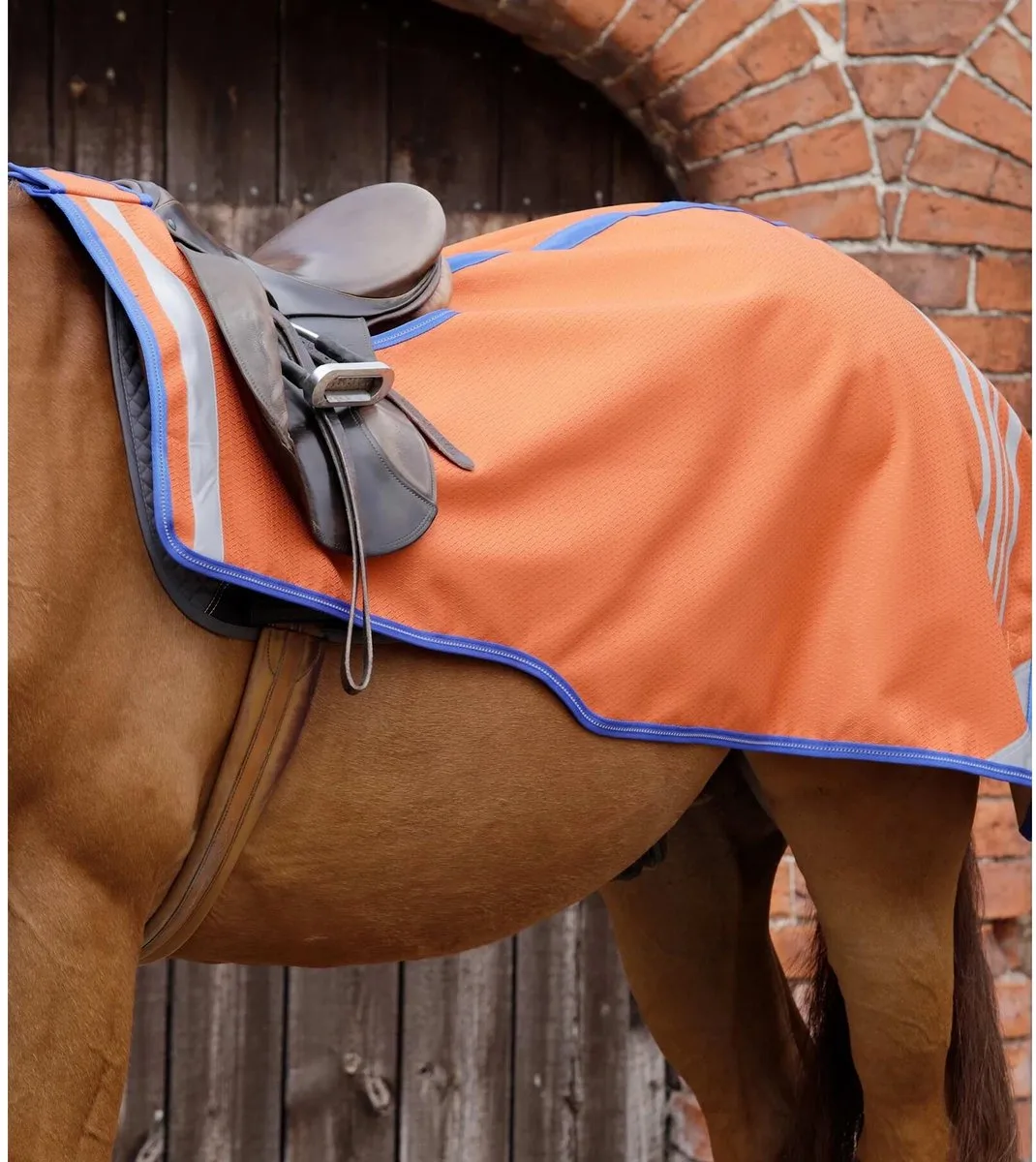 Nierbekleding voor paarden Premier Equine Stratus från Premier Equine i Gebrand oranje – produktbild