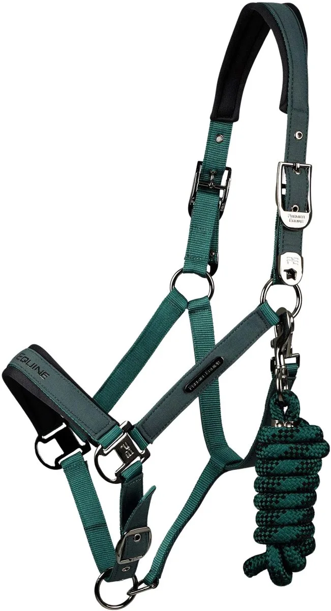 Nylon halster voor paard Premier Equine Duco by Premier Equine in Groene – product photo