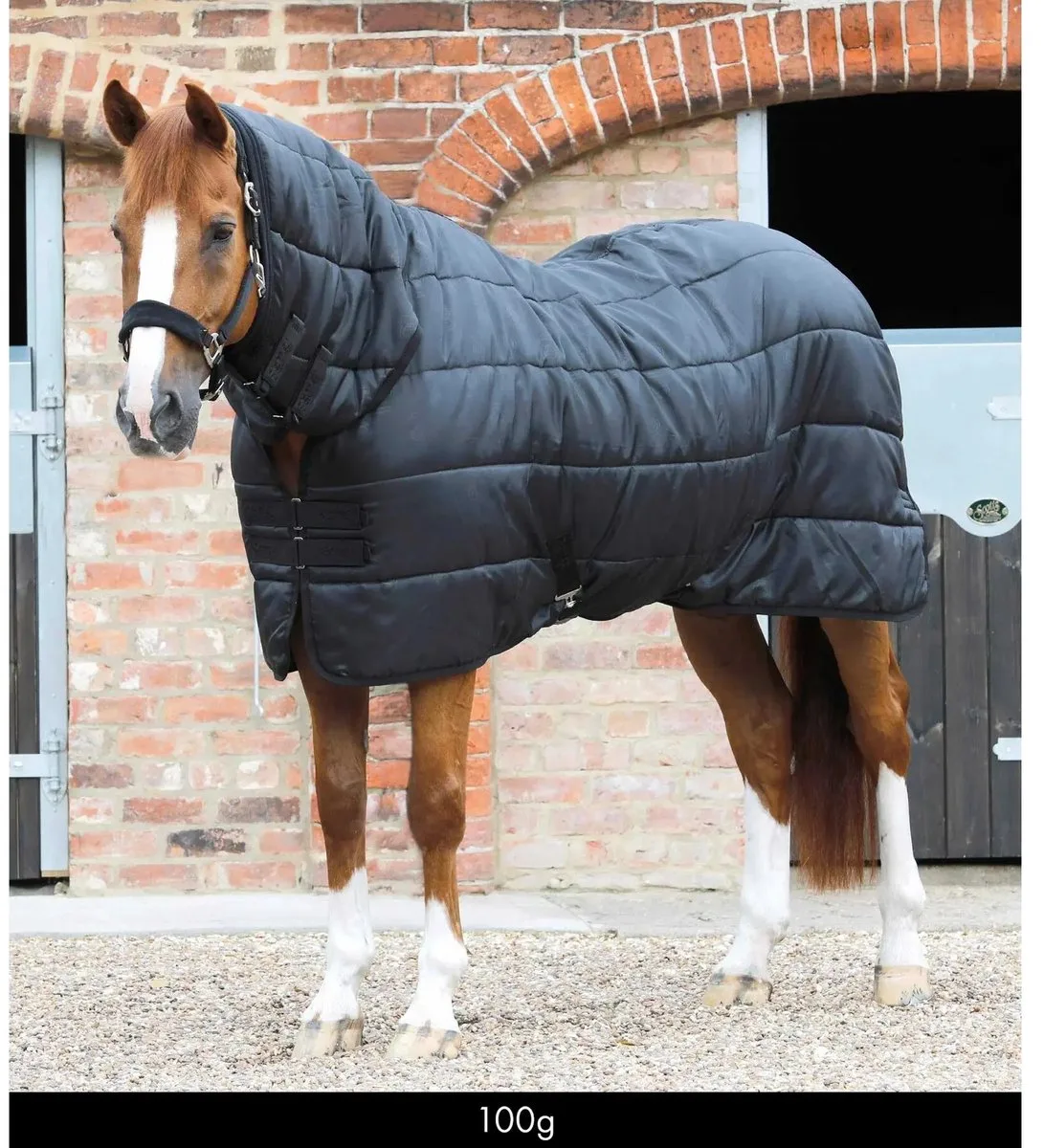 Onderdeken voor paarden met halsbedekking Premier Equine 100 g från Premier Equine i Svart – produktbild