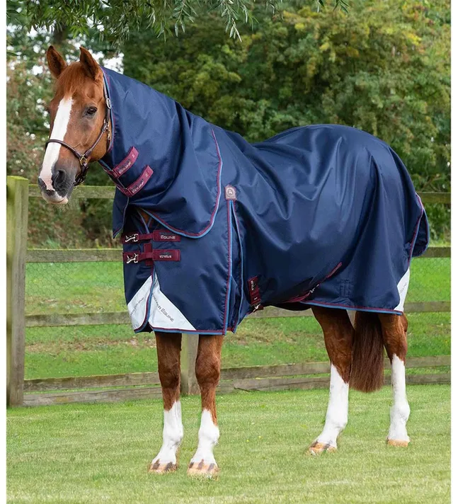 Outdoor paardendeken met halsbedekking Premier Equine Akoni Stratus 0g