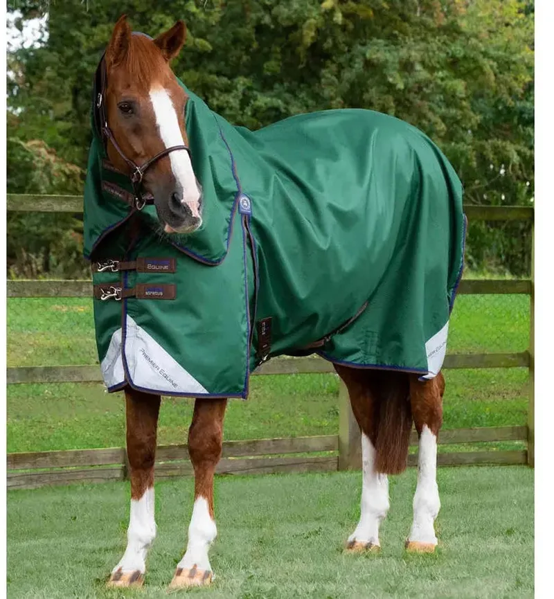 Outdoor paardendeken met halsbedekking Premier Equine Akoni Stratus 0g de Premier Equine en Groene – photo produit