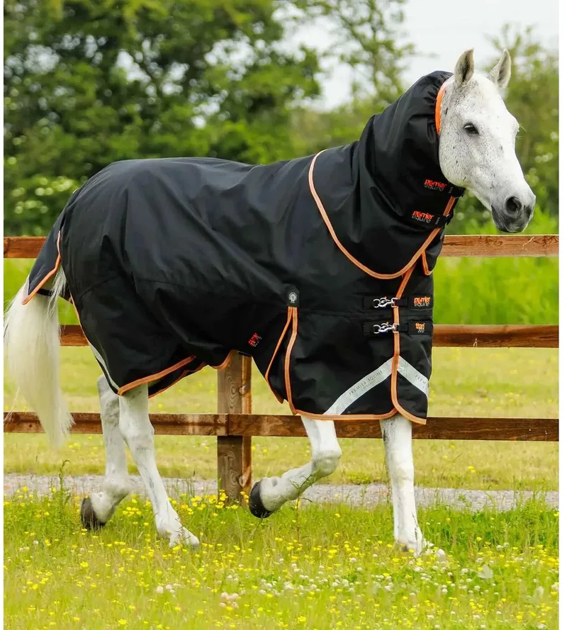 Outdoor paardendeken met halsbedekking Premier Equine Titan 300 g von Premier Equine in Schwarz – Produktfoto