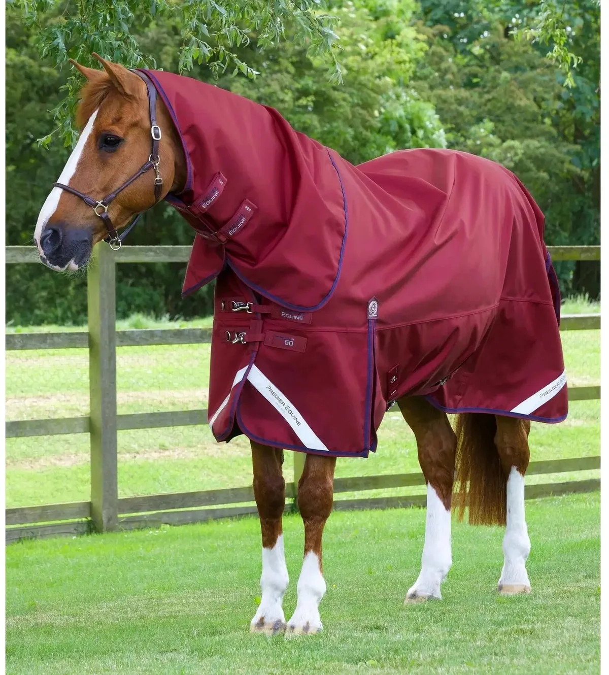 Outdoor paardendeken met halsbedekking Premier Equine Titan 50 g by Premier Equine in Bordeauxrood – product photo
