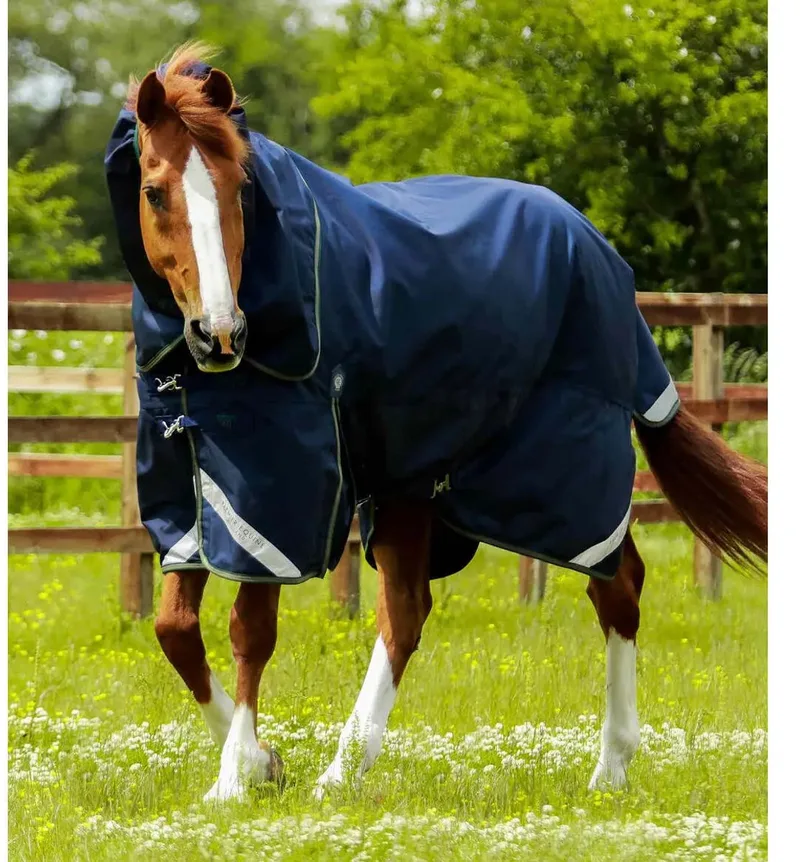 Outdoor paardendeken met halsbedekking Premier Equine Titan 40 g by Premier Equine in Blue – product photo