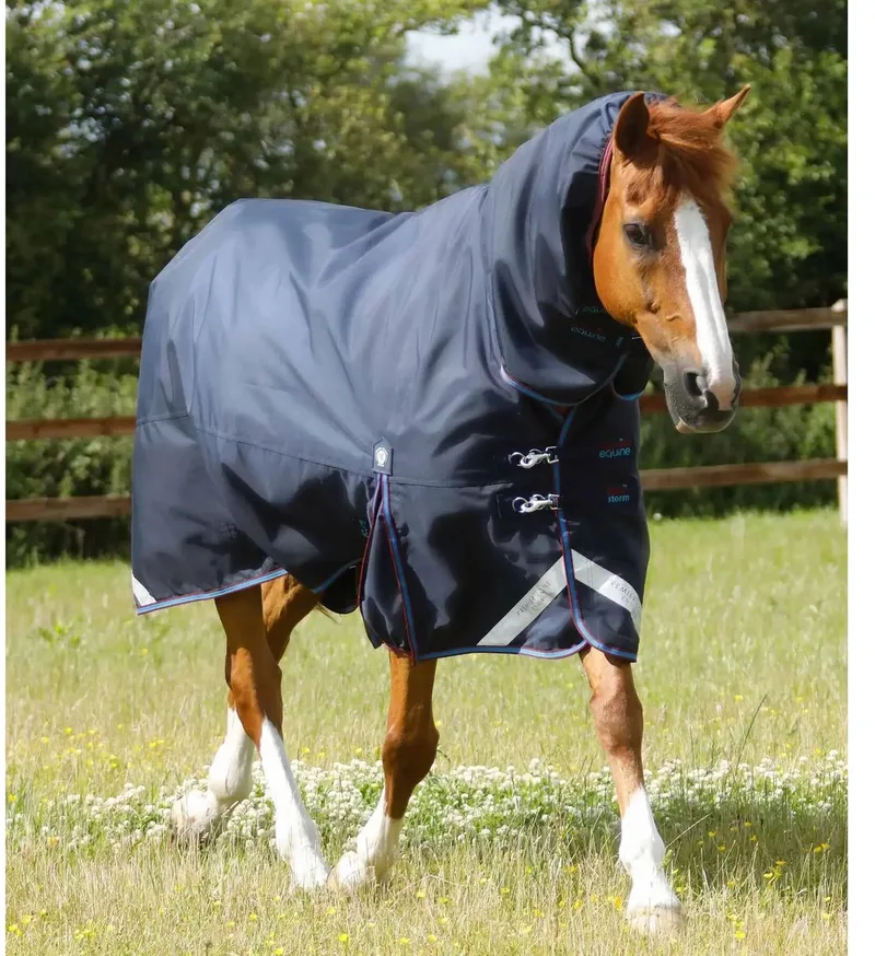 Outdoor paardendeken met halsbedekking Premier Equine Titan Storm 200 g de Premier Equine en Marine – photo produit