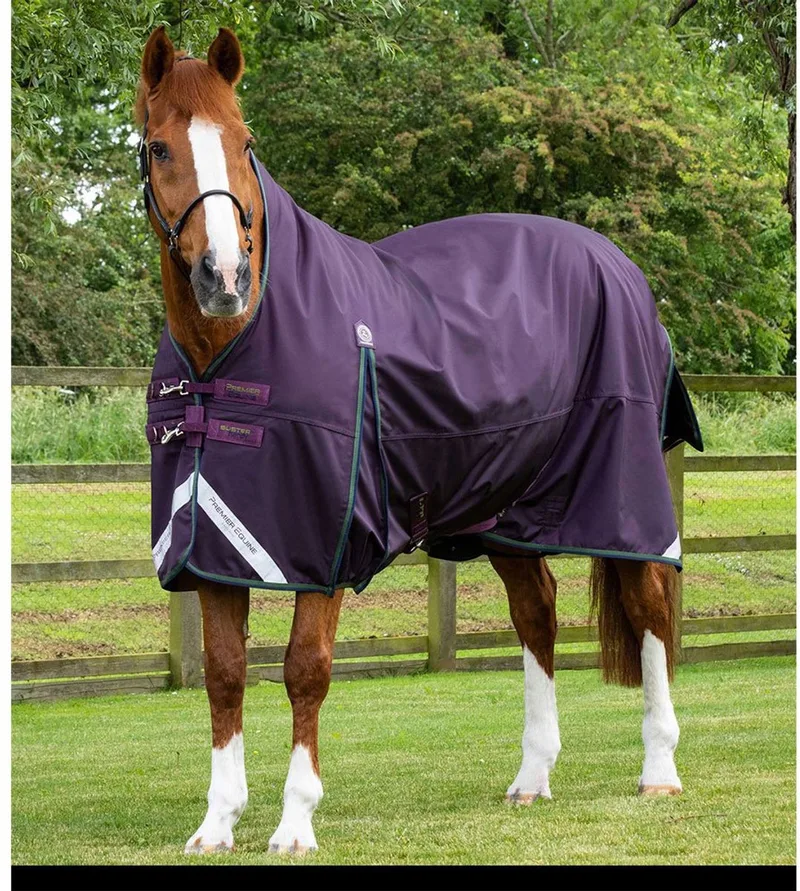 Outdoor paardendeken Premier Equine Buster Hardy 100 g by Premier Equine in Purple – product photo