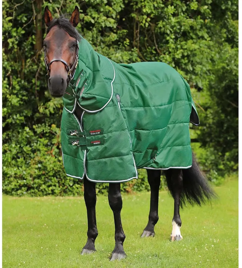 Paardendeken met halsbedekking Premier Equine Hydra 200g by Premier Equine in Green – product photo