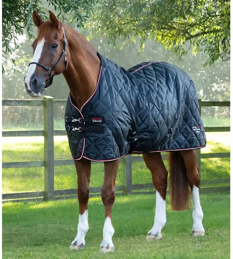 Paardendeken Premier Equine 100g by Premier Equine in Black – product photo