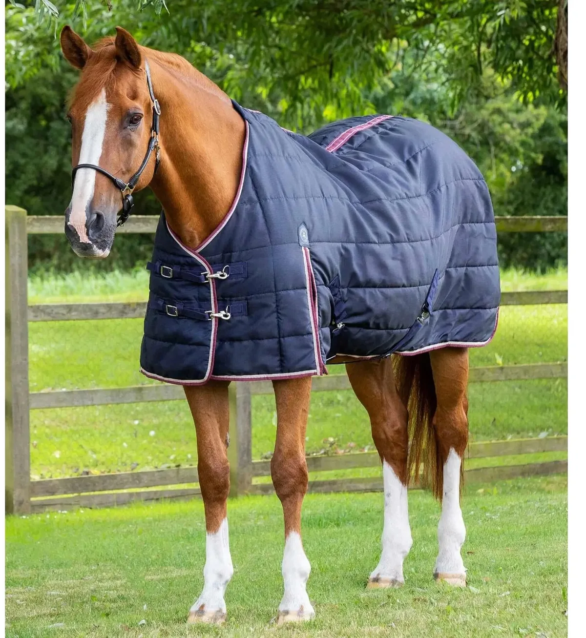 Paardendeken Premier Equine Garissa 100 g by Premier Equine in Marine – product photo