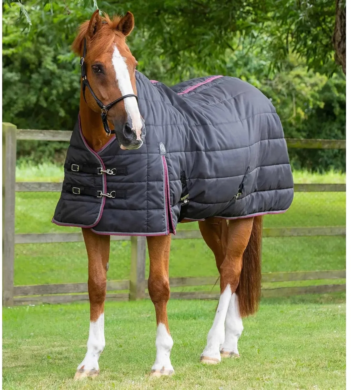 Paardendeken Premier Equine Garissa 200 g by Premier Equine in Black – product photo