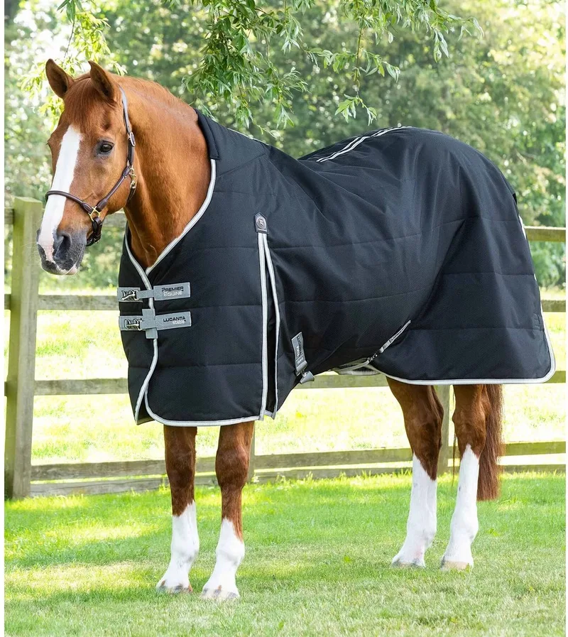 Paardendeken Premier Equine Lucanta 100 g by Premier Equine in Black – product photo