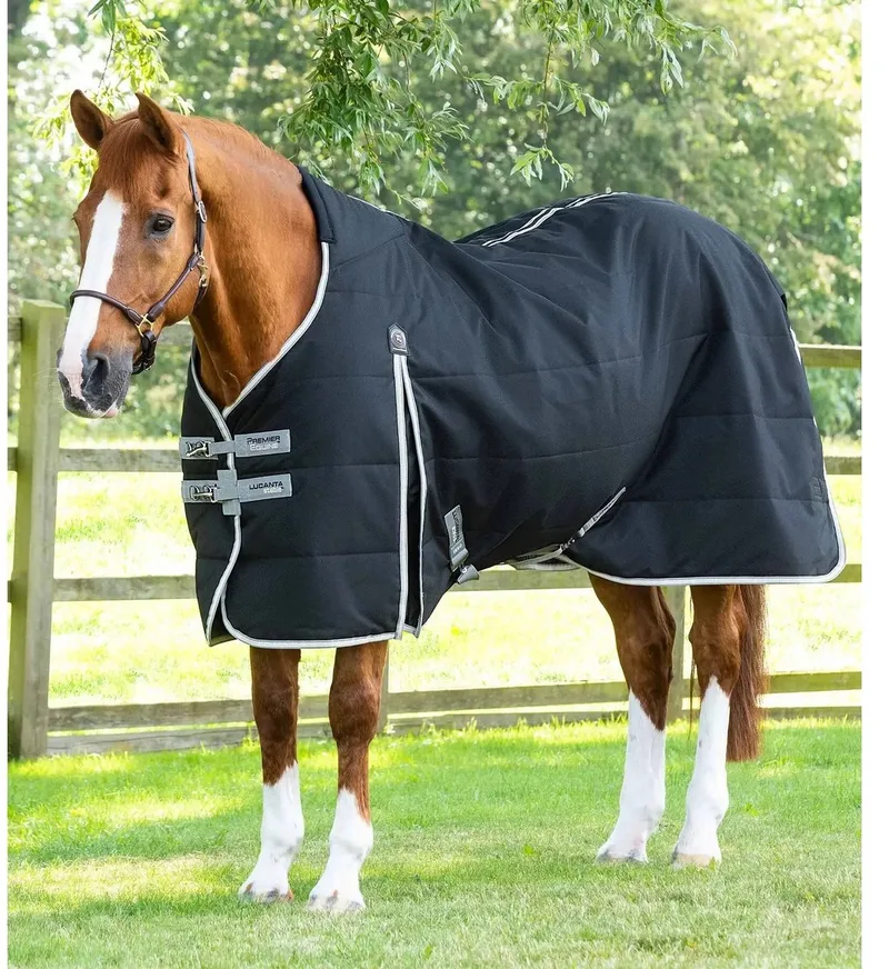 Paardendeken Premier Equine Lucanta 100 g von Premier Equine in Schwarz – Produktfoto