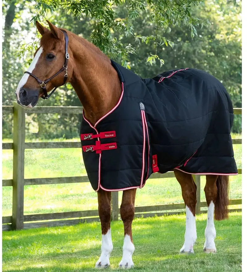 Paardendeken Premier Equine Lucanta 200 g von Premier Equine in Schwarz – Produktfoto